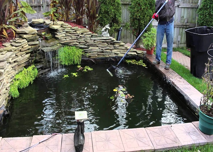 Mẫu hồ cá koi ngoài trời (P1)